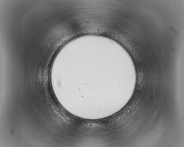 X0000111790632200907230950