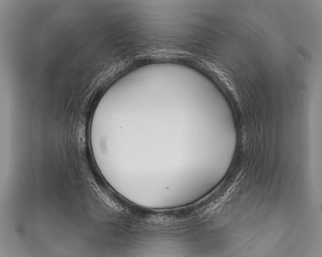 X0000111790633200907230950