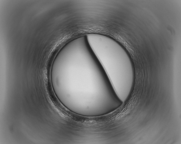X0000111790634200907230950