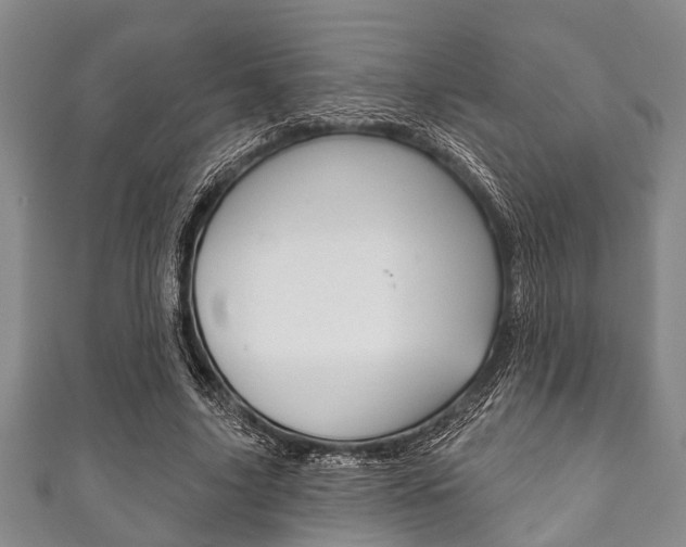 X0000111790635200907230950