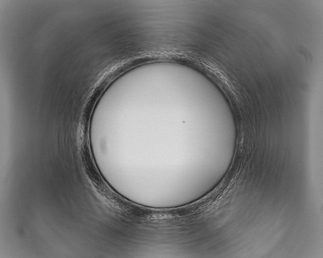 X0000111790636200907230950