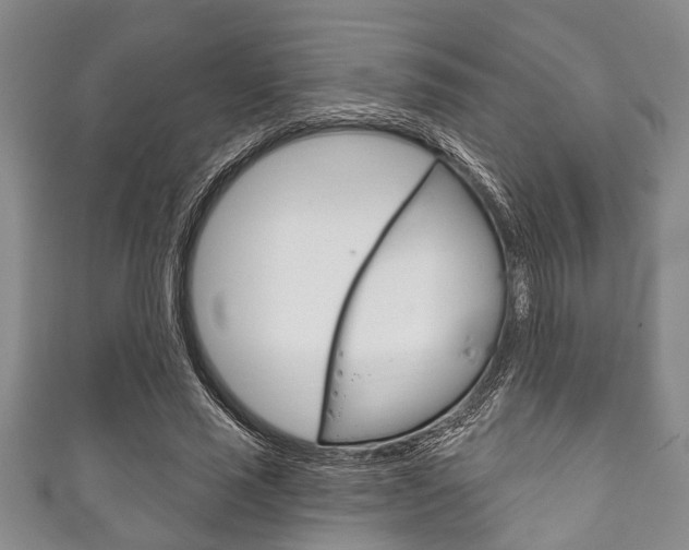 X0000111790637200907230950