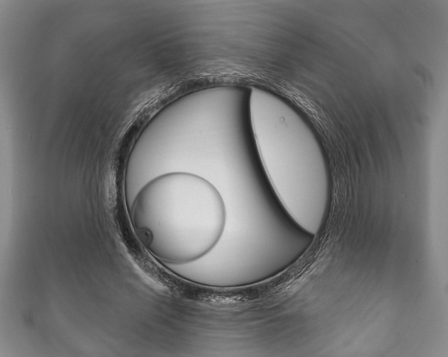 X0000111790638200907230950