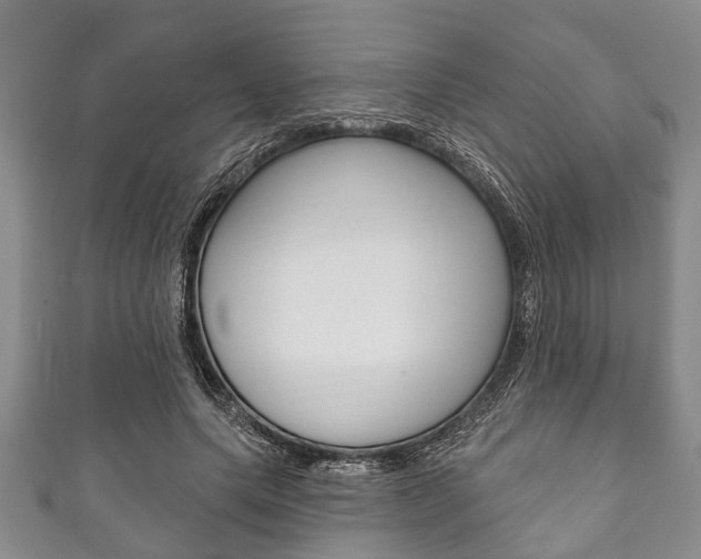 X0000111790639200907230950
