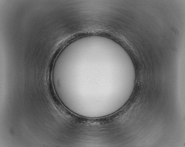 X0000111790640200907230950