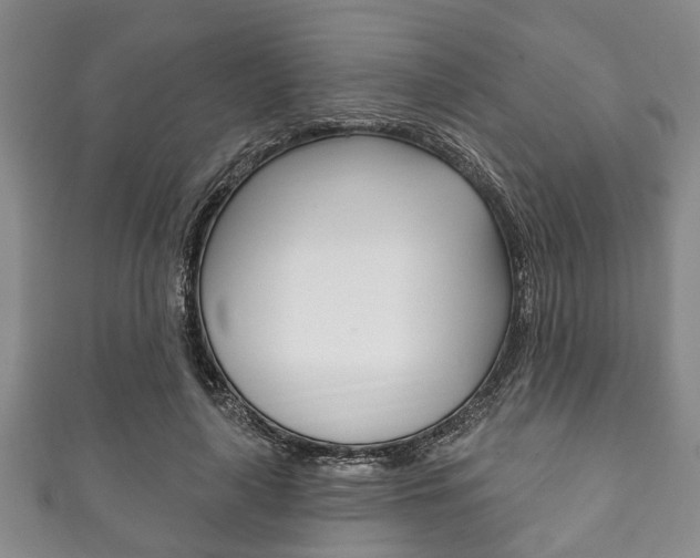 X0000111790643200907230950