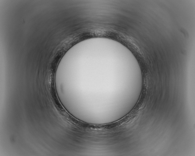 X0000111790645200907230950