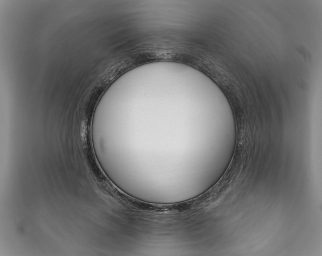 X0000111790646200907230950