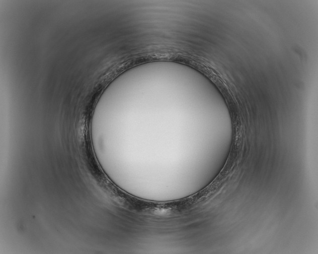 X0000111790647200907230950