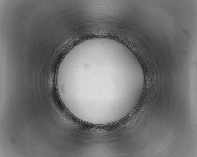 X0000111790648200907230950