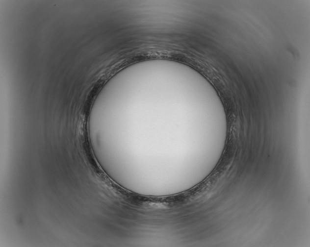X0000111790649200907230950