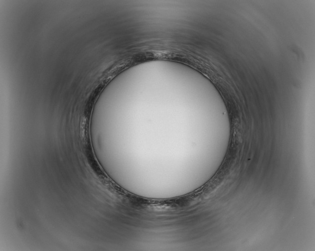 X0000111790650200907230950