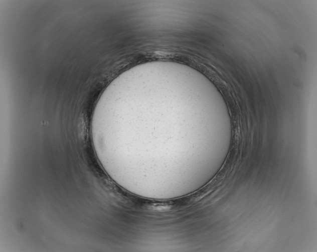 X0000111790651200907230950