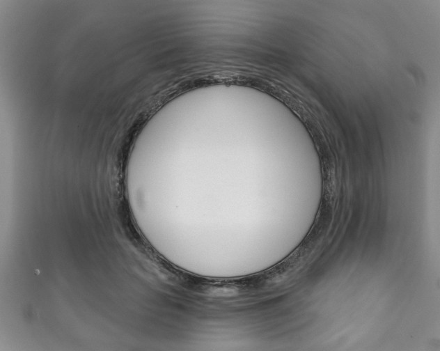X0000111790653200907230950
