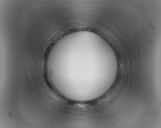 X0000111790654200907230950