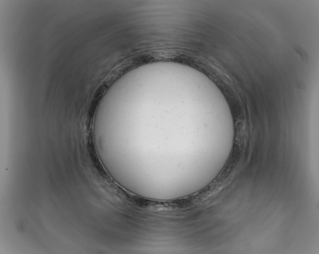 X0000111790655200907230950