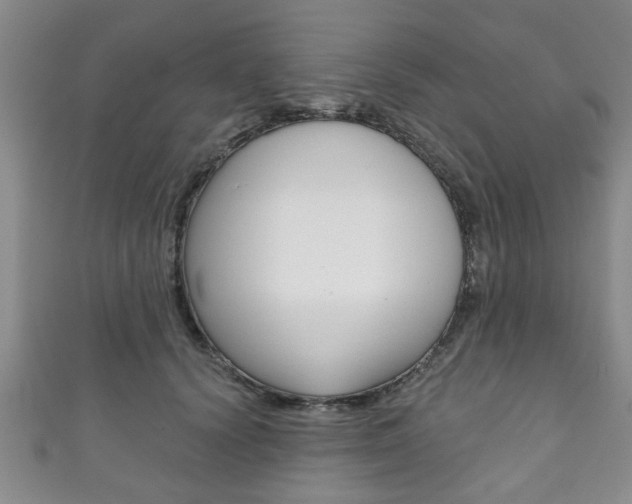 X0000111790656200907230950