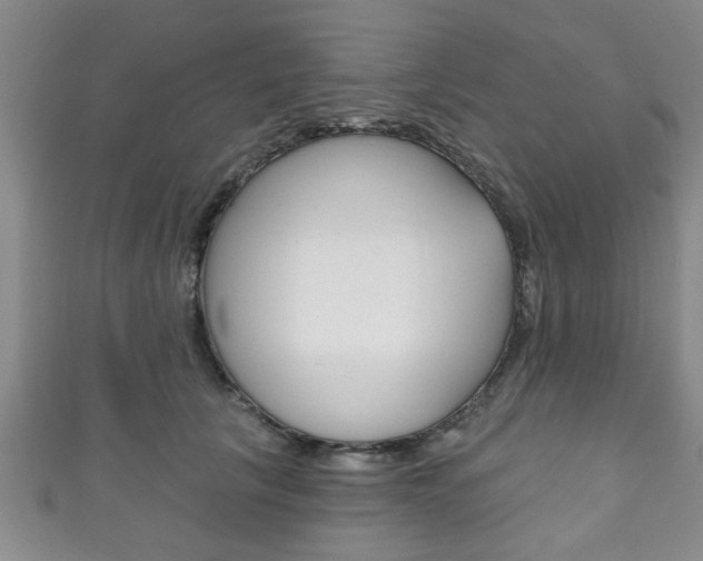 X0000111790657200907230950
