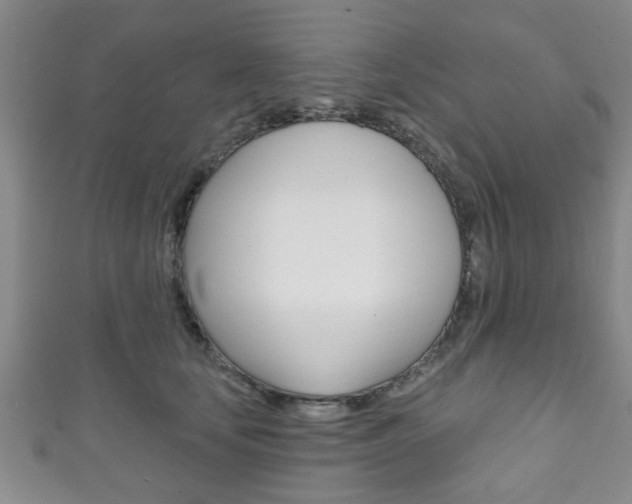 X0000111790659200907230950