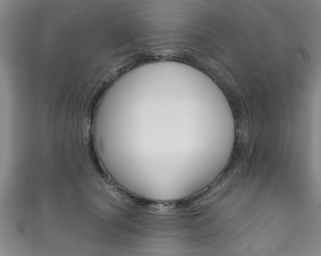 X0000111790660200907230950
