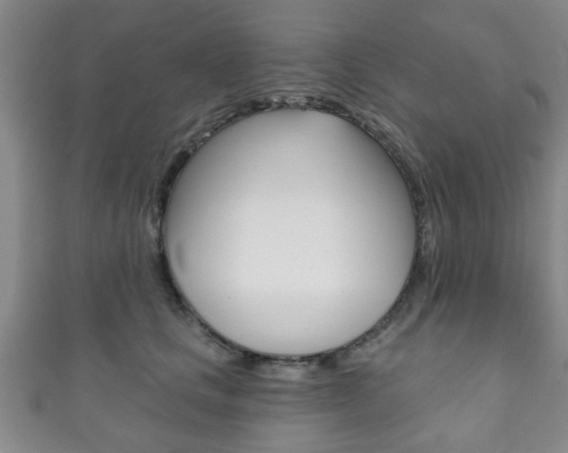X0000111790661200907230950