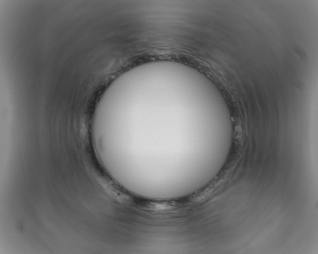 X0000111790662200907230950