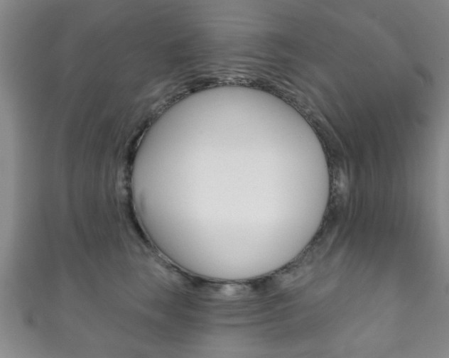 X0000111790663200907230950