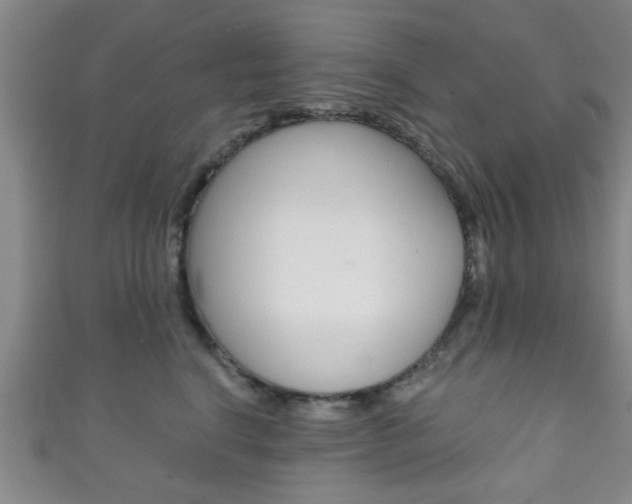 X0000111790664200907230950