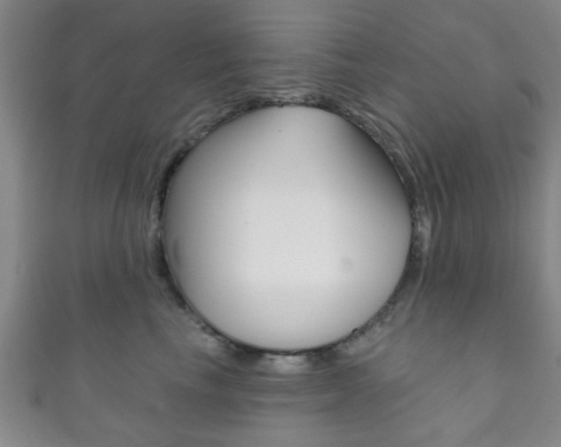 X0000111790665200907230950