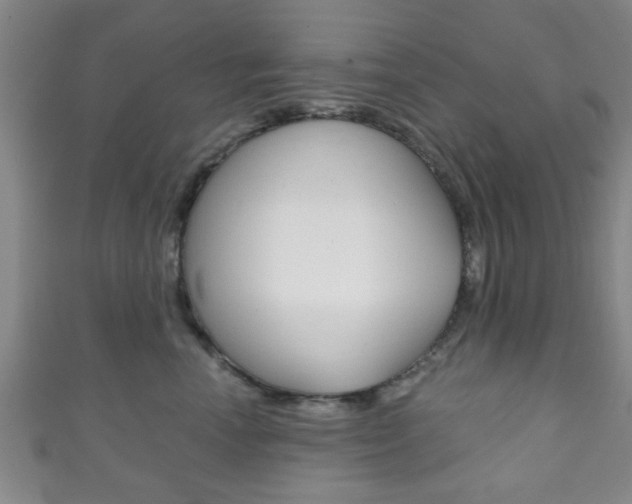 X0000111790666200907230950