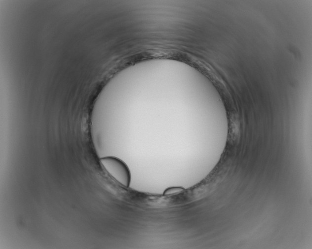 X0000111790667200907230950
