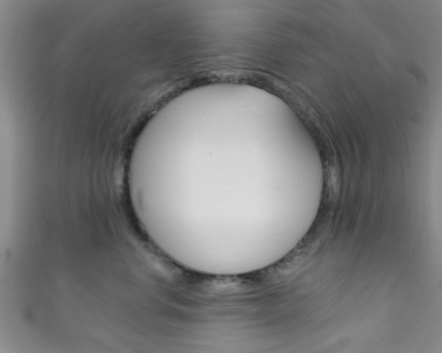 X0000111790668200907230950