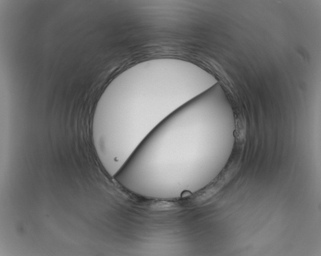 X0000111790669200907230950