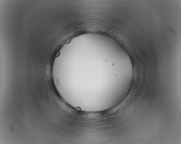 X0000111790670200907230950
