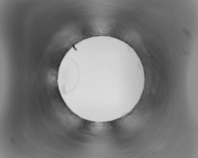 X0000111790672200907230950