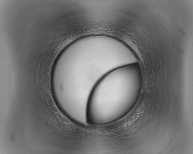 X0000111790673200907230949
