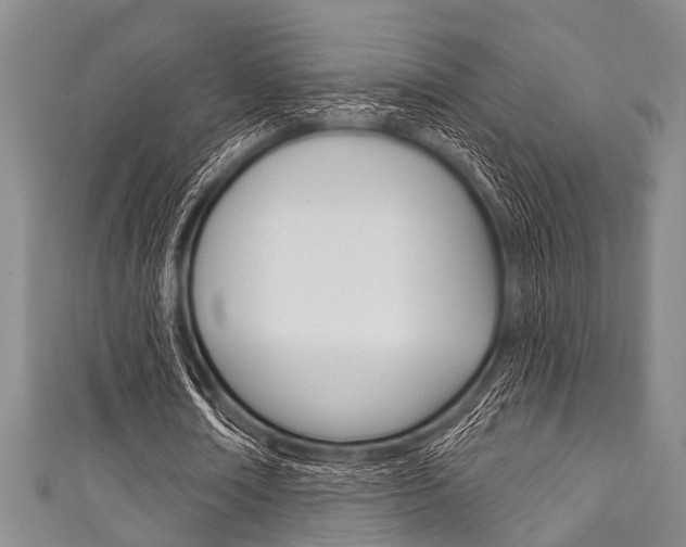 X0000111790674200907230949
