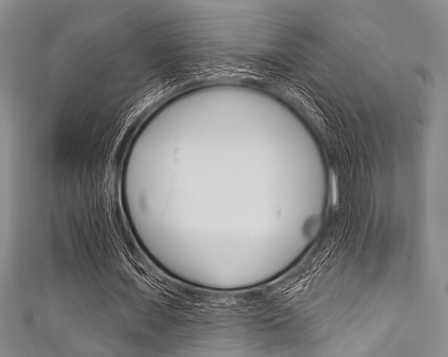 X0000111790675200907230949
