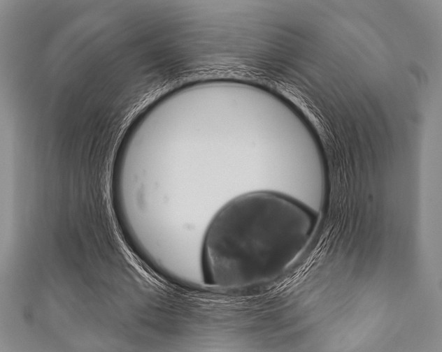 X0000111790677200907230949