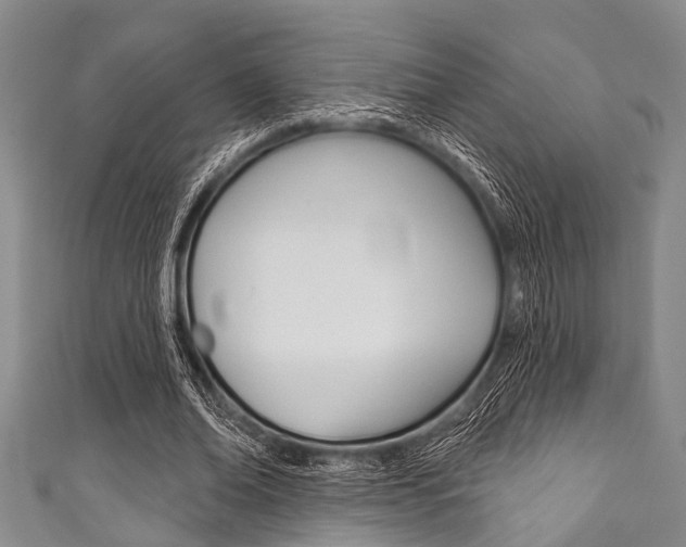 X0000111790678200907230949