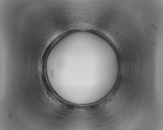 X0000111790679200907230949