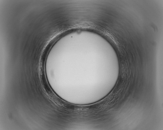 X0000111790680200907230949