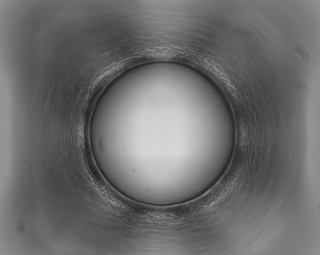 X0000111790681200907230949
