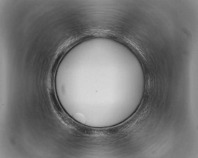 X0000111790682200907230949