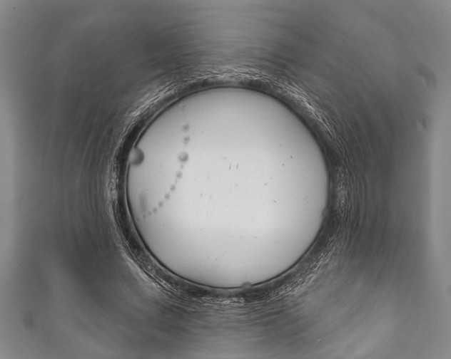 X0000111790683200907230949