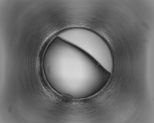 X0000111790684200907230949