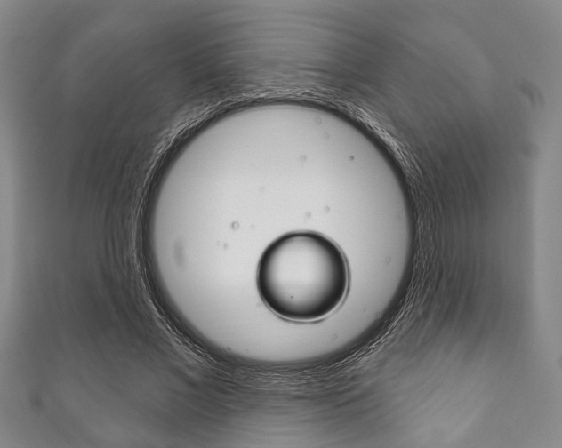 X0000111790685200907230949