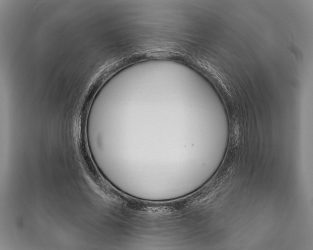 X0000111790686200907230949