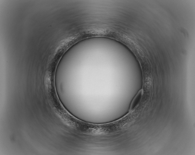 X0000111790688200907230949