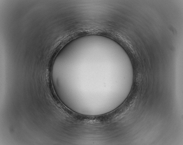 X0000111790689200907230949